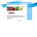 frutas-y-legumbres-vepa