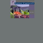 suites-cantarell
