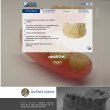 protesis-dental