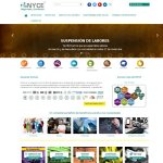 nyce-normalizacion-y-certificacion-electronica-s-c