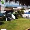 hotel-iguanas