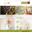 amarilis-flores-plantas-y-accesorios