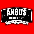 angus-and-hereford-pino-suarez