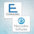 e-consulting