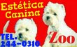 estetica-canina-zoo