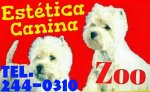 estetica-canina-zoo
