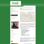 bambu-flowers-gifts